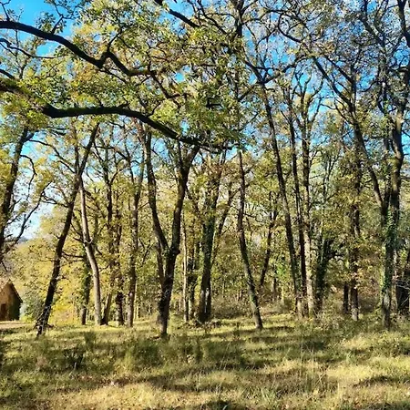 En Pleine Nature Proche De Montignac-lascaux Casa vacanze