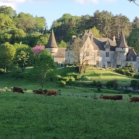 En Pleine Nature Proche De Montignac-lascaux *